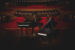 21323 Grand Piano Announce 29