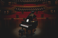 21323 Grand Piano Announce 31