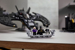 76161 1989 Batwing Announce 13