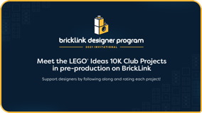 2021-03-17 Bricklink Designer Program 02