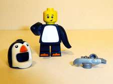 Image of Penguin 4