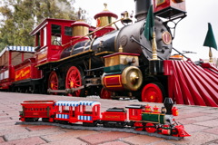 71044 Disney Train and Station Announce 37