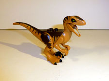 Image of Velociraptor Front