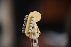 21329 Fender Stratocaster Announce 17