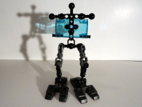 Skeleton